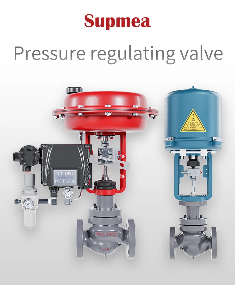 Single seat regulating valve